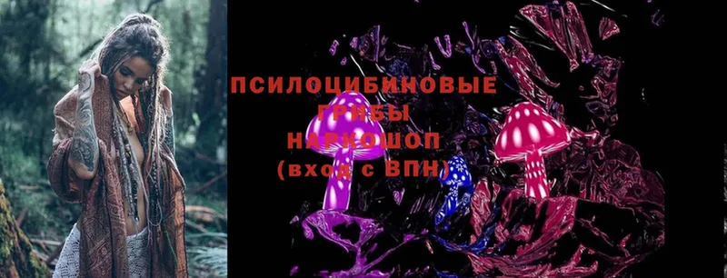 Псилоцибиновые грибы MAGIC MUSHROOMS  Волосово 